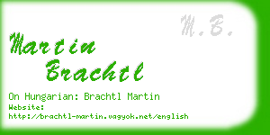 martin brachtl business card